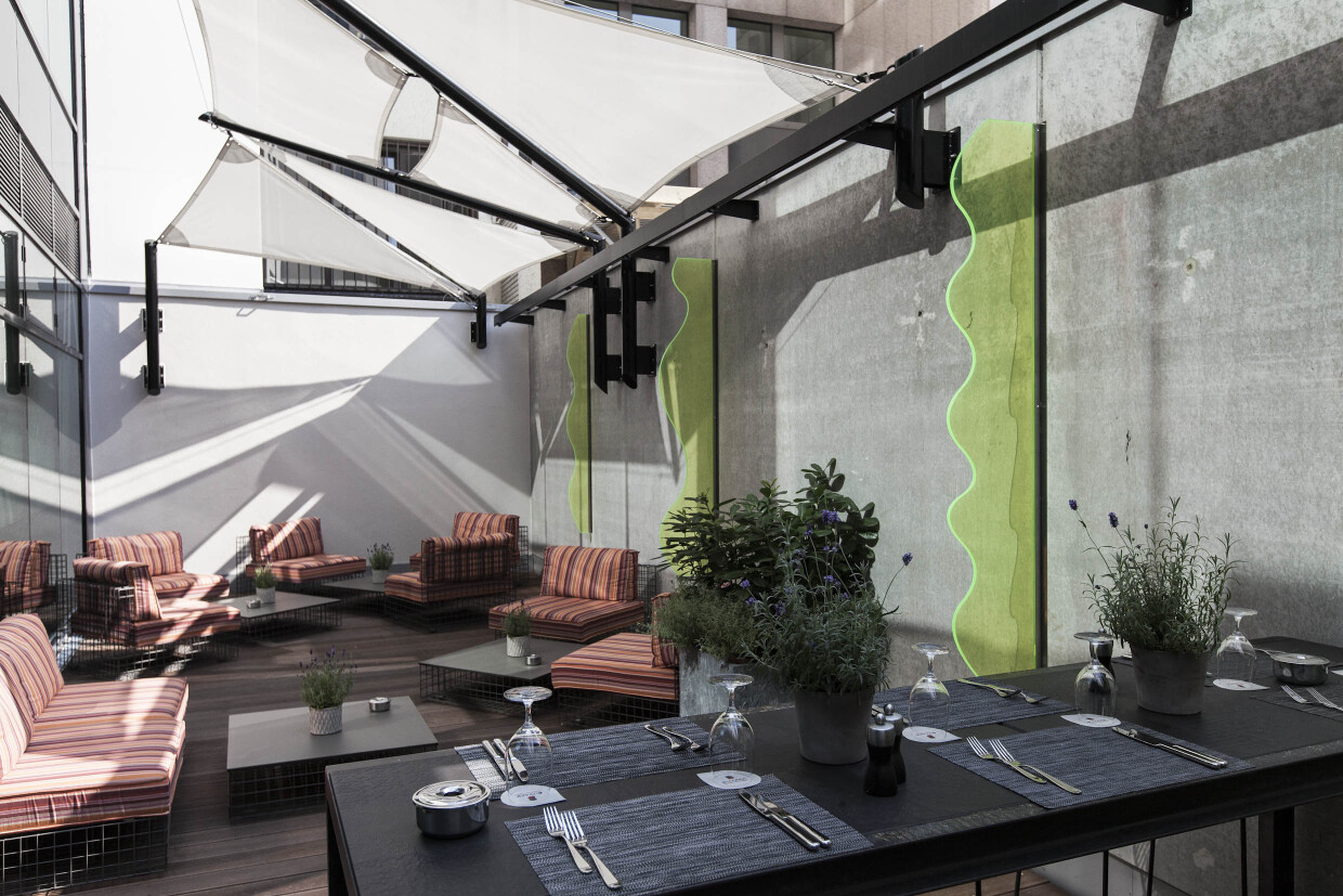 senderismo con perros