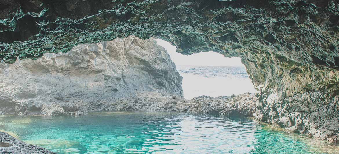 APERTURA CANARIAS@1x