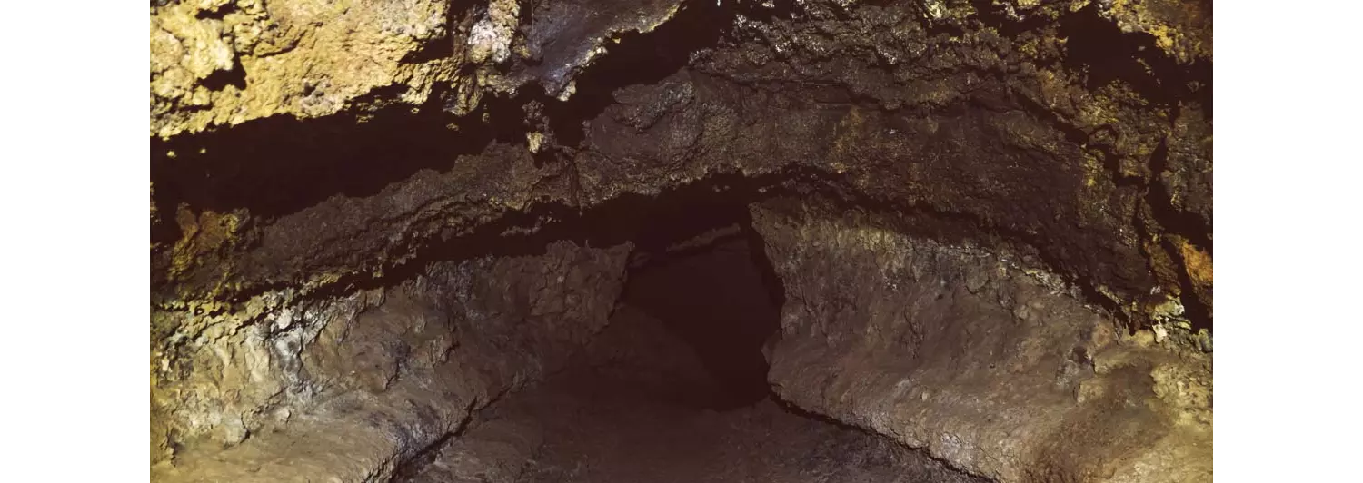 Ap