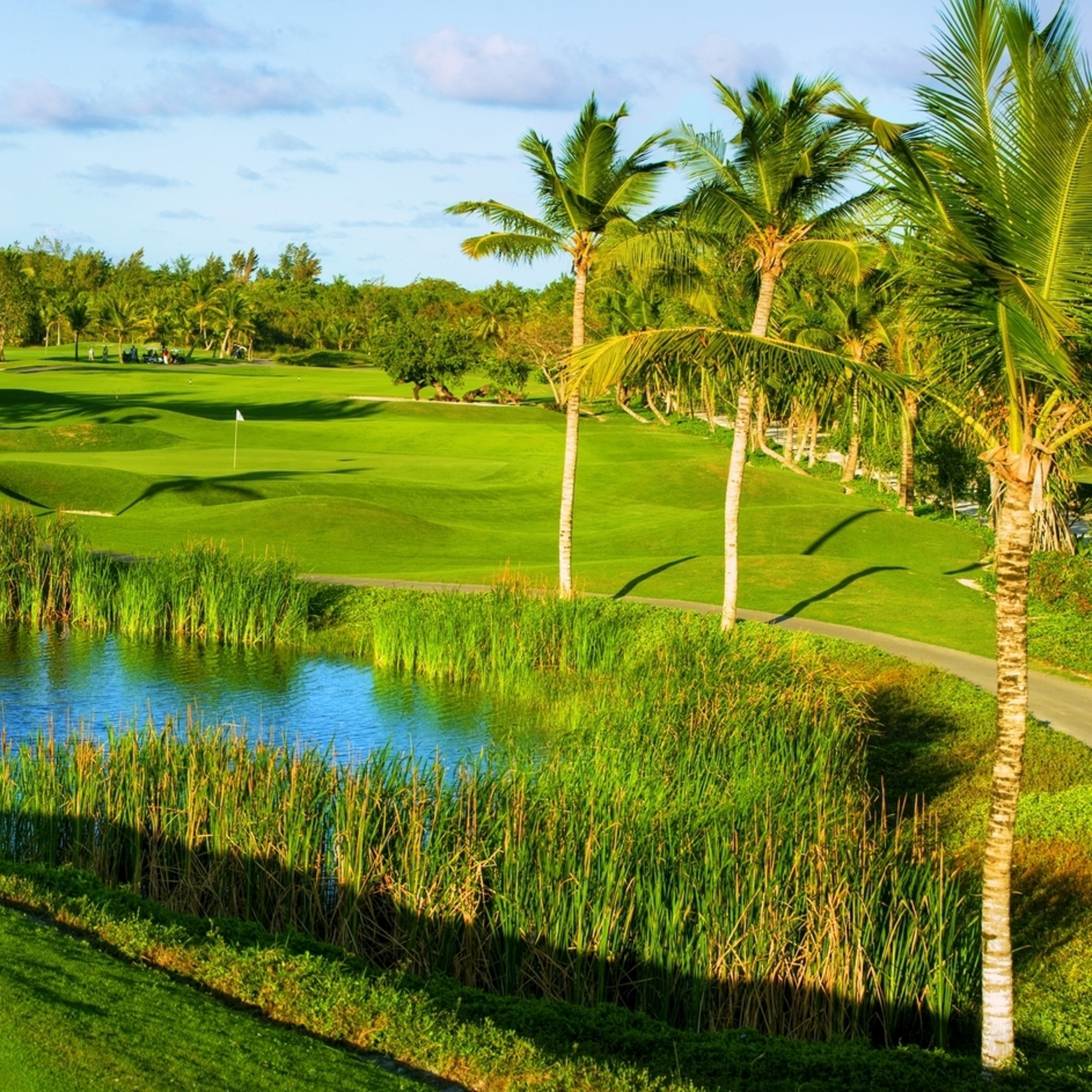 January  / Sports & Golf Tournaments / Punta Cana 