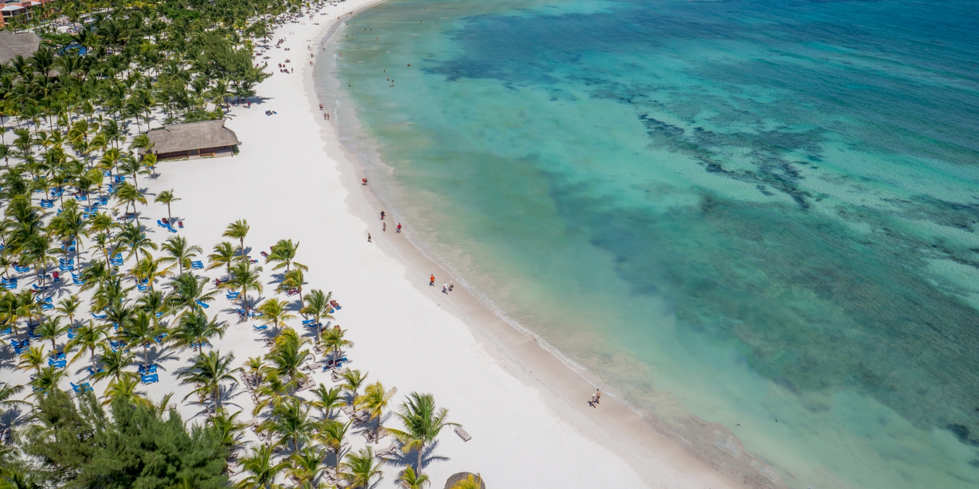 Featured Promotion Image