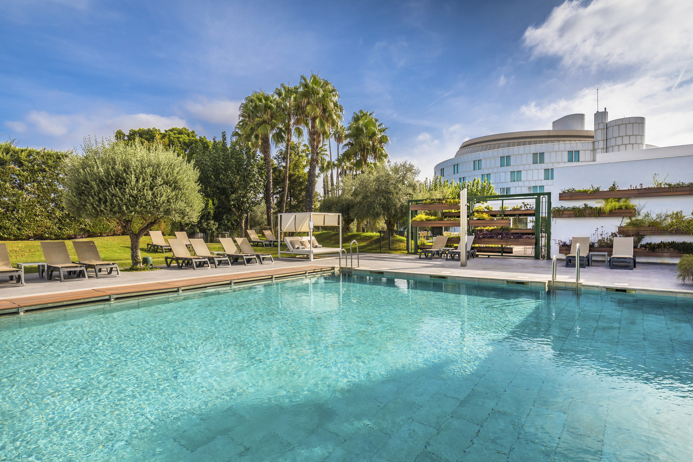 flamenco mejor sevilla