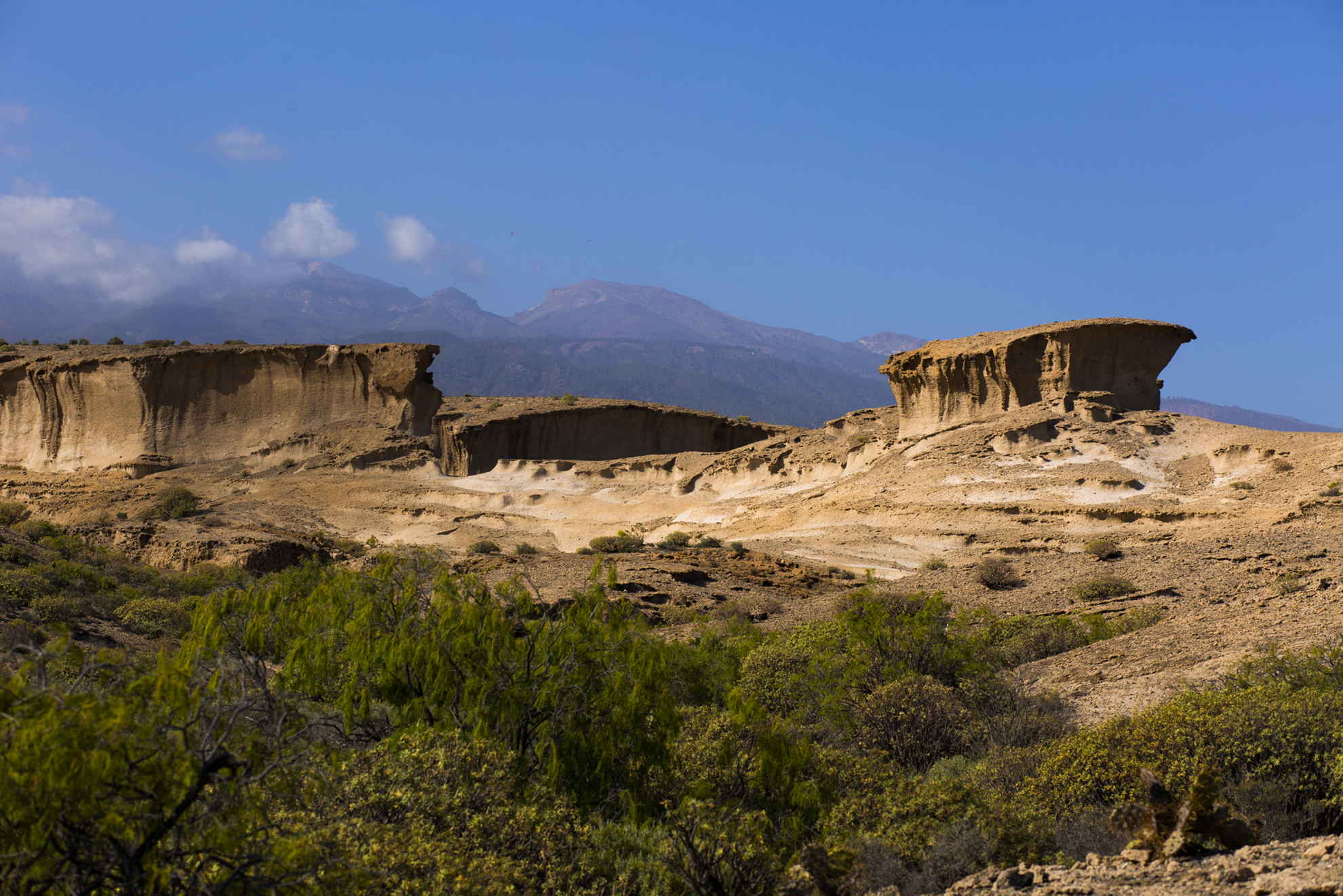 reserva ambiental de san blas tenerife