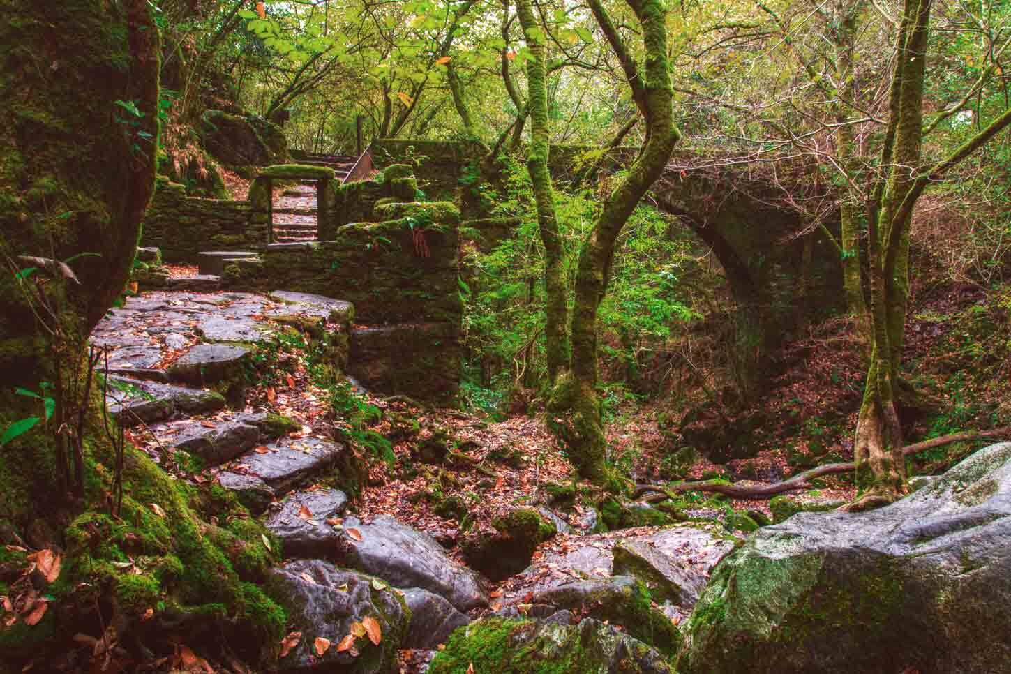 propositos para el año nuevo