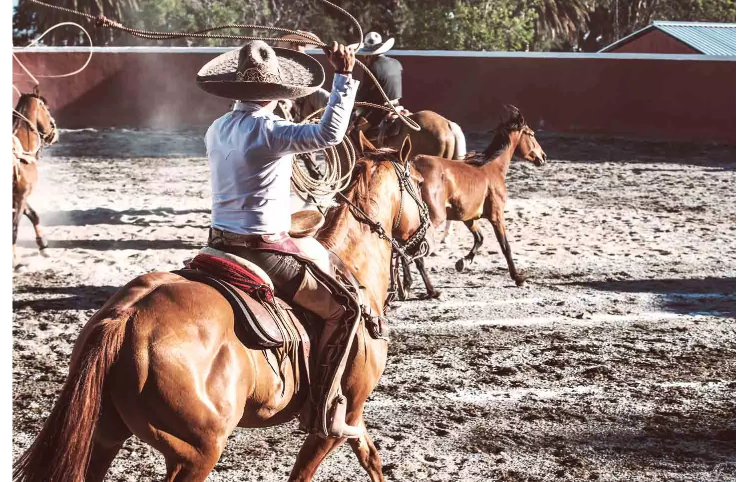 Dia-del-charro