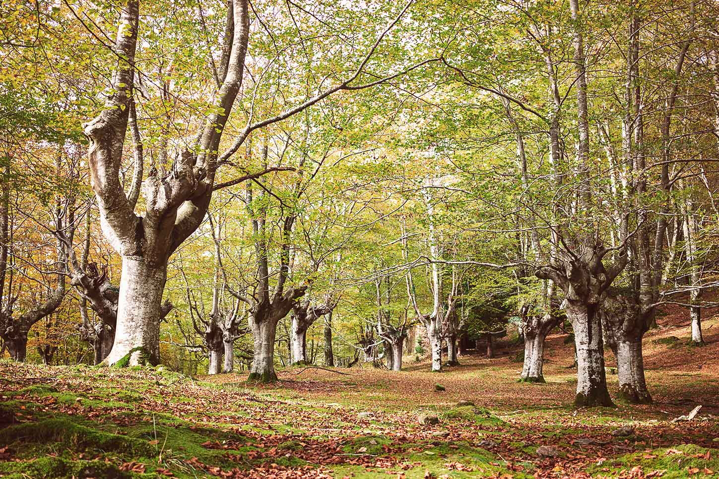Escapada al País Vasco