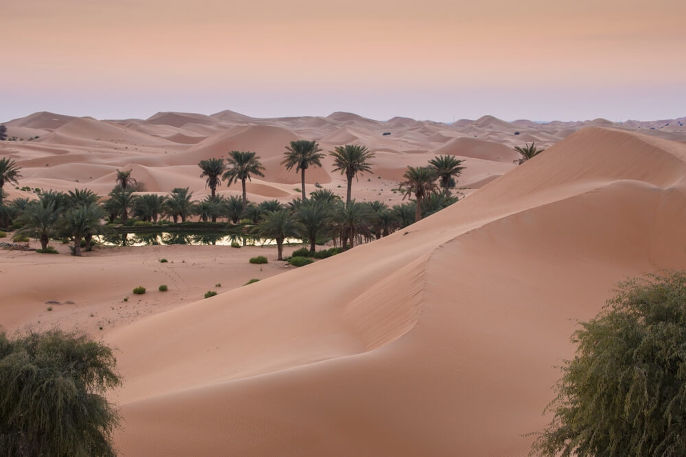 excursiones en dubai 