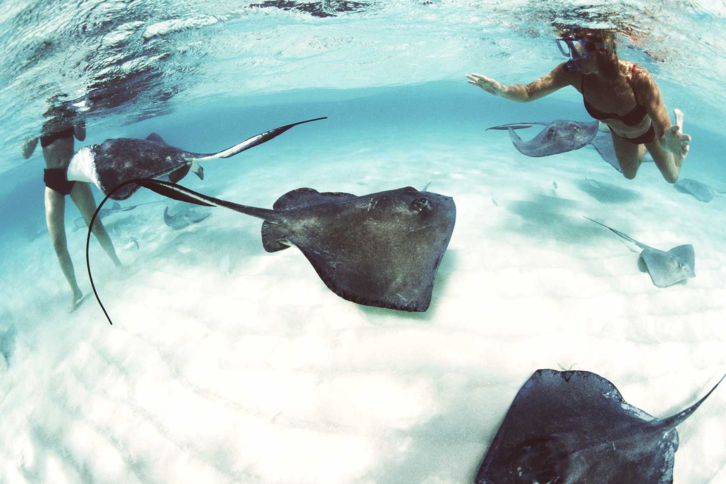 Occidental-at-Xcaret-Destination