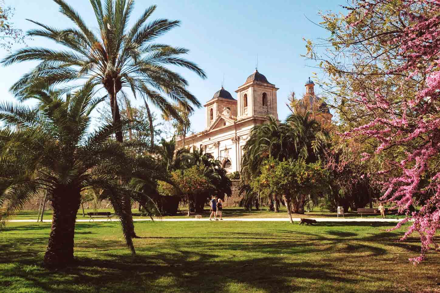 Qu-hacer-en-vacaciones-en-casa-solo