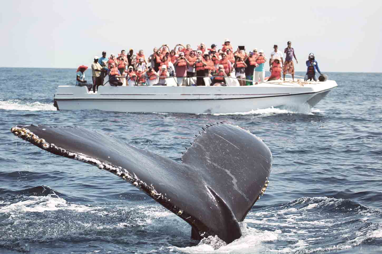 Qué visitar en Punta cana