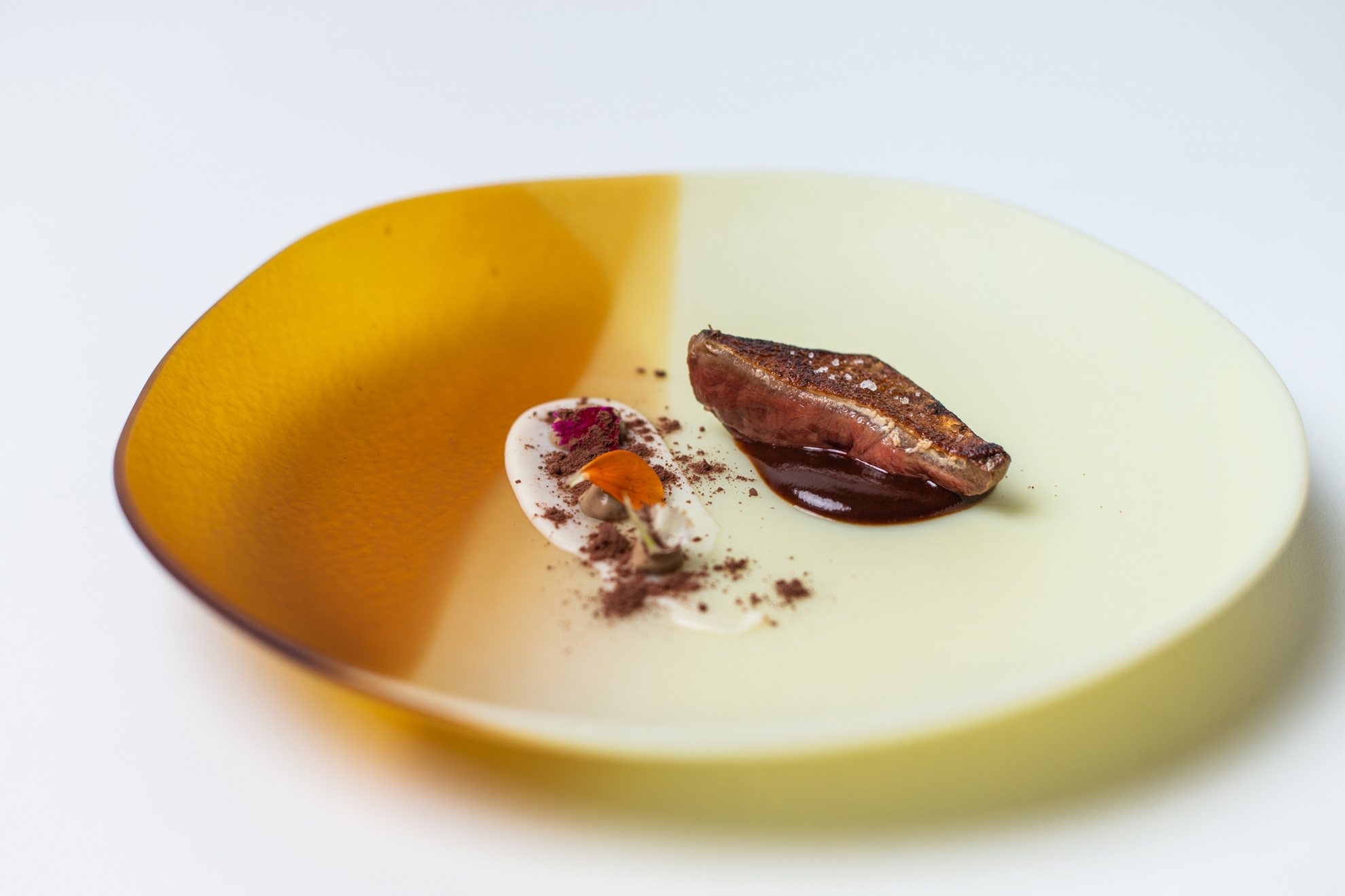 Squab with cocoa