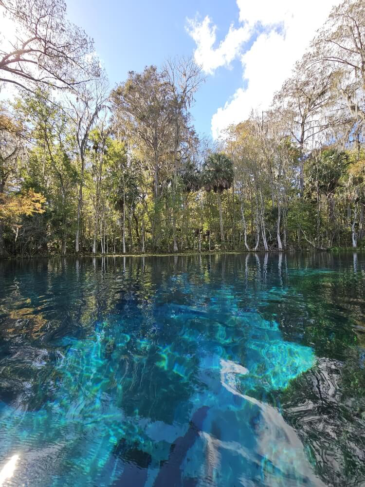 viajar a punta cana en diciembre 