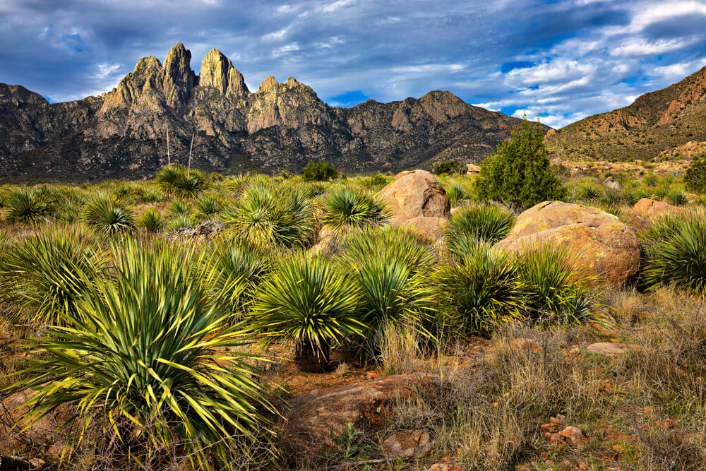 parques nacionales mexico