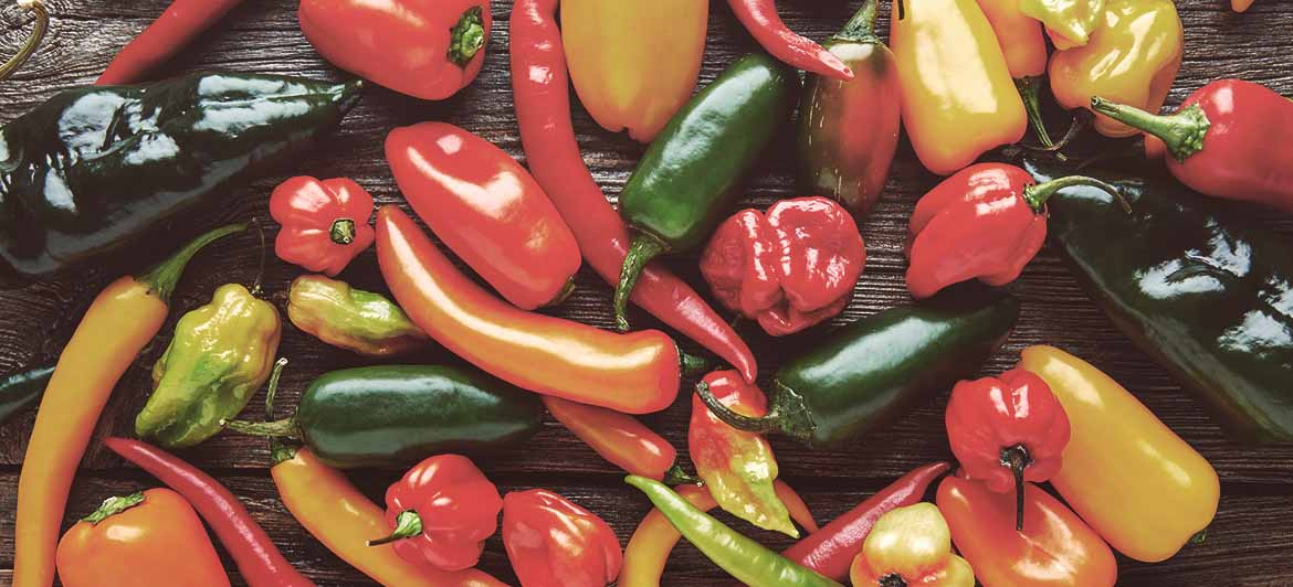 Variedad de chiles mexicanos
