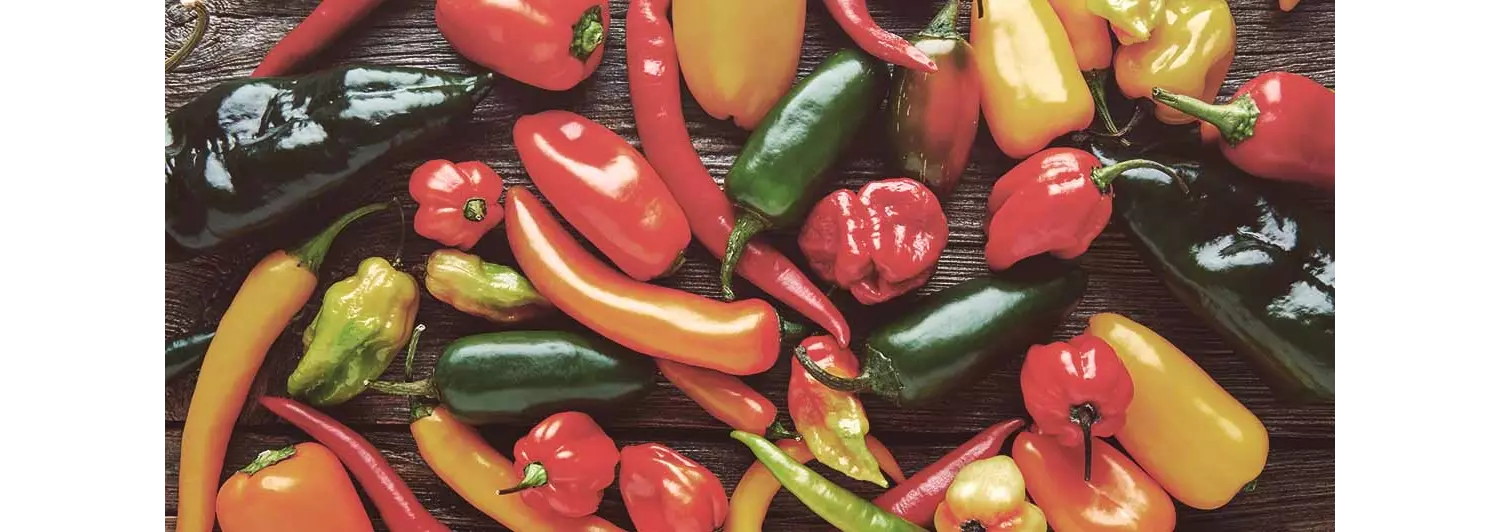 Variedad de chiles mexicanos