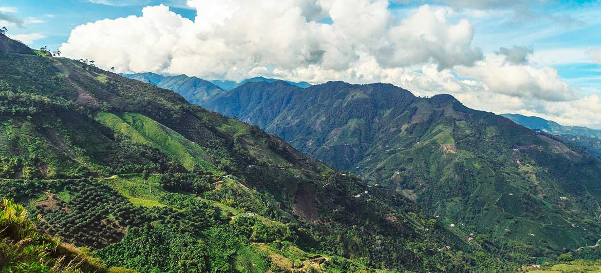 Vacaciones diferentes: ruta del café