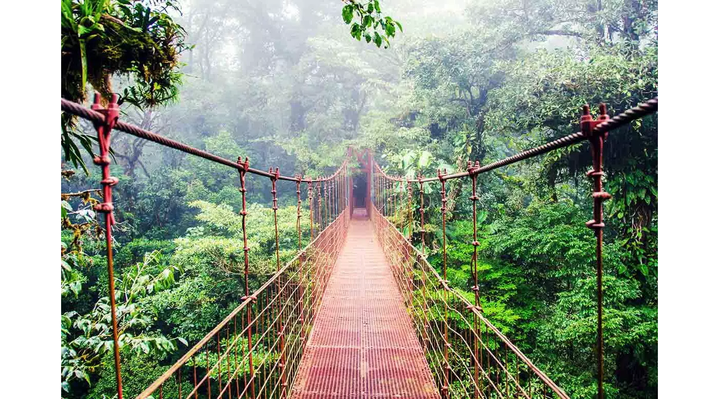 Costa Rica Aktivitäten: Hängebrücken im Nebelwald.