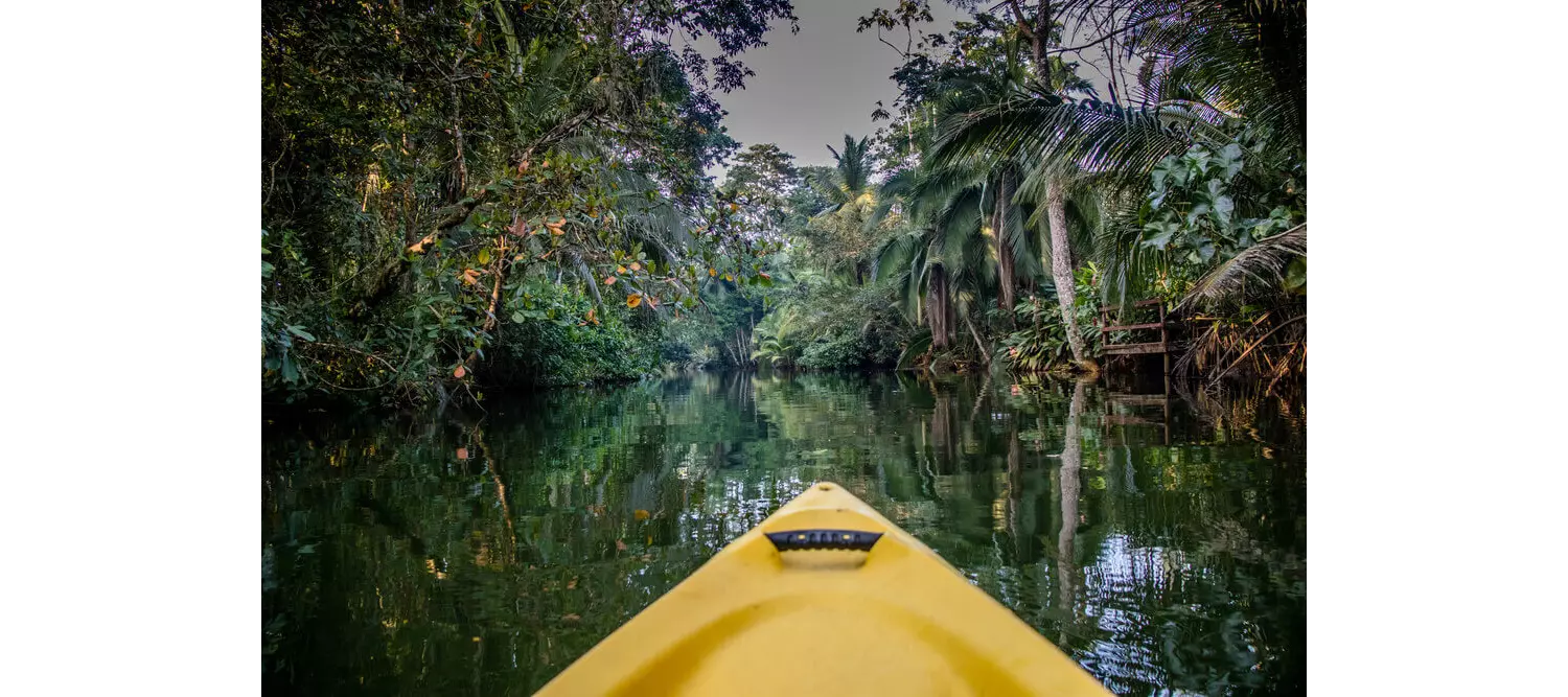 Costa Rica Aktivitäten: Kajak im Mangrovenwald.