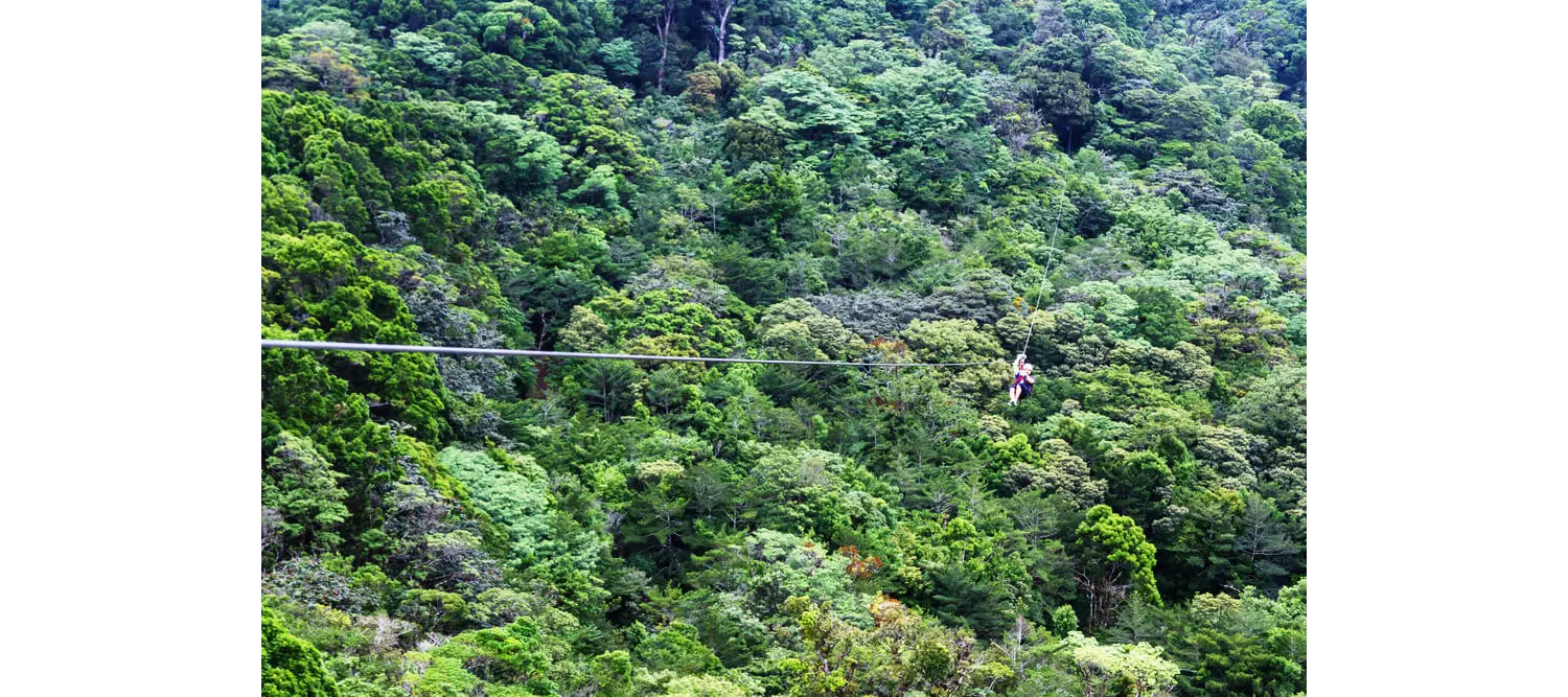 Costa Rica Aktivitäten: Seilrutsche in Monteverde.