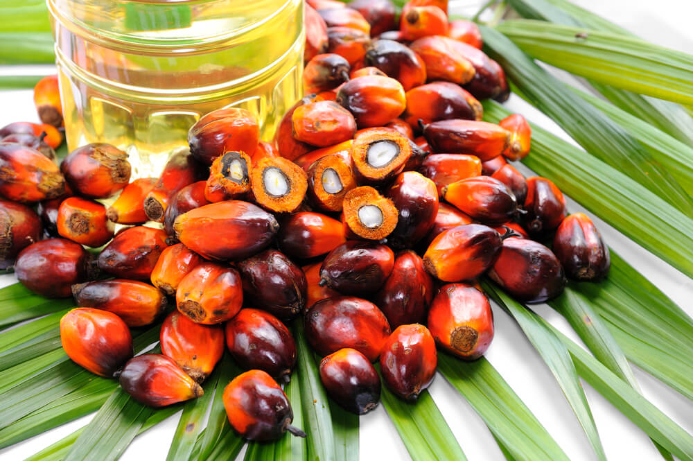 After beach hair care: A palm leaf with red seeds and a pot of oil