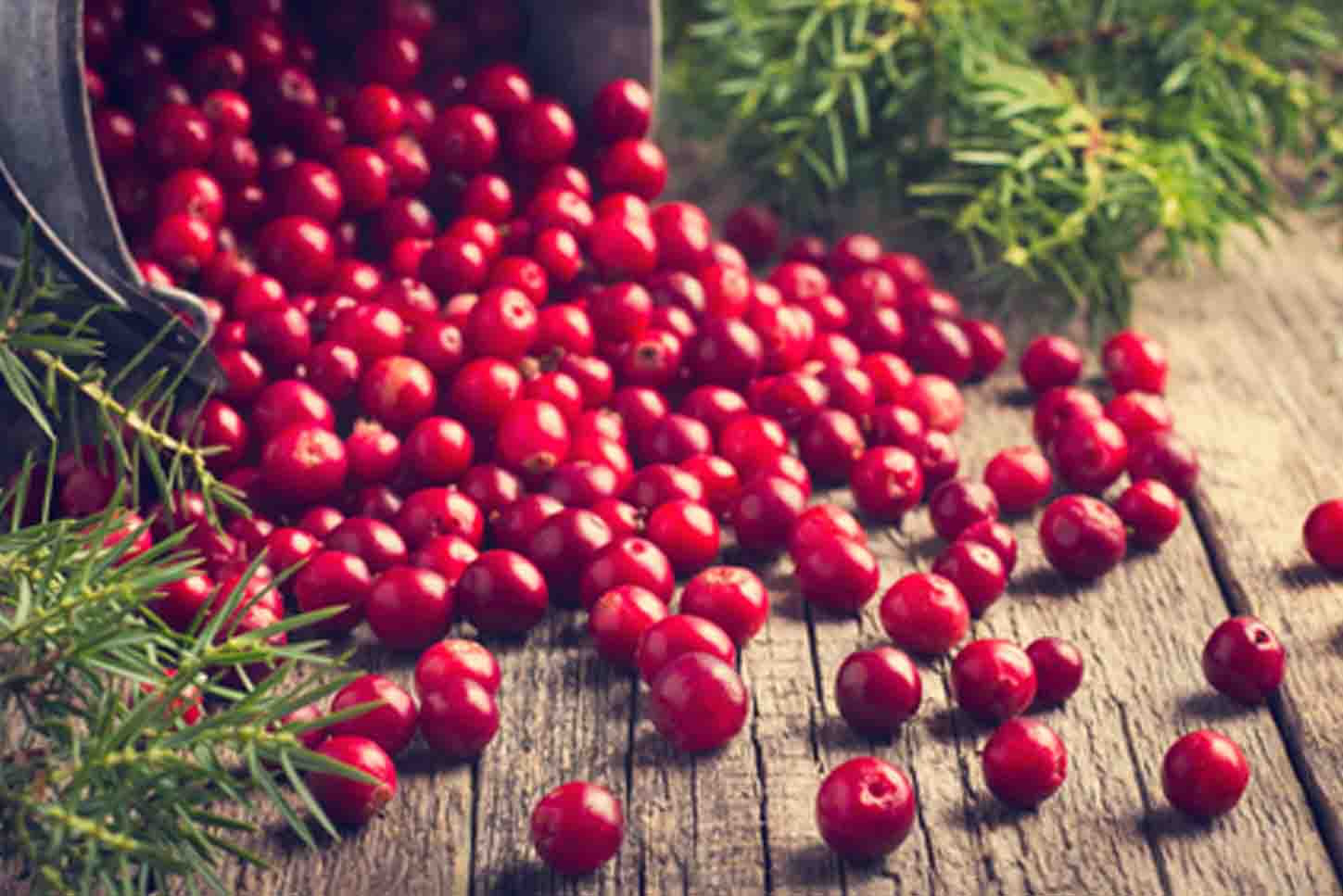 Alimentos relajantes