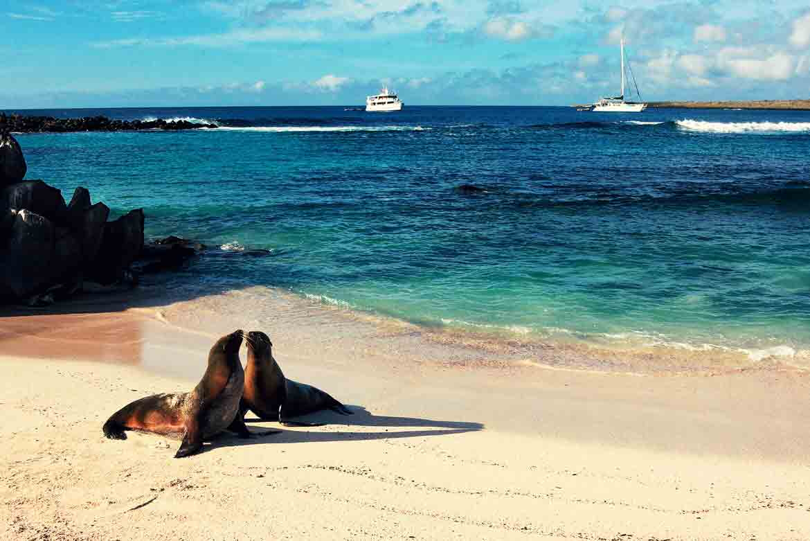 Lugares exóticos para viajar en 2019