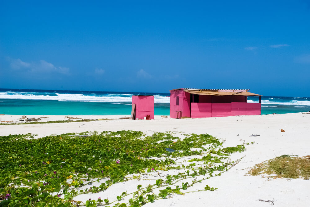 White sand dunes in Aruba surround a small pink hut on Boca Prins Beach.