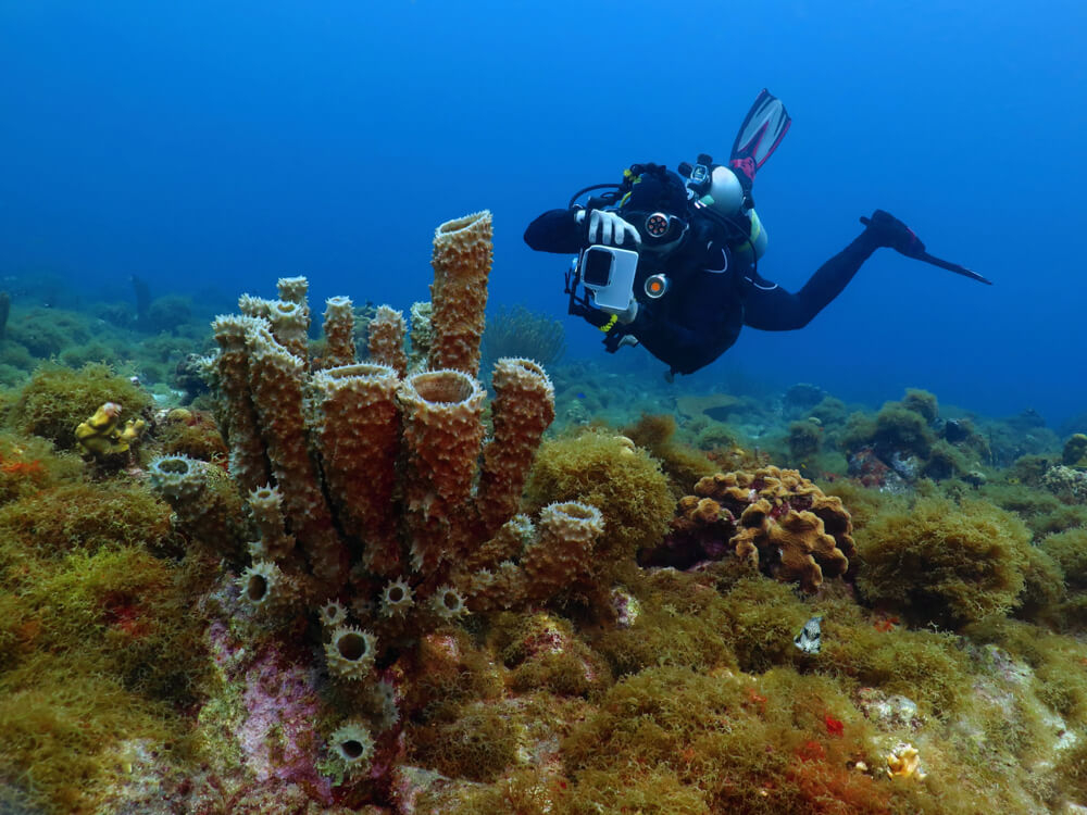One of Aruba’s adventure activities is going scuba diving.
