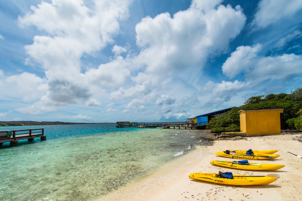 A photo of kayaks on Palm Island. 