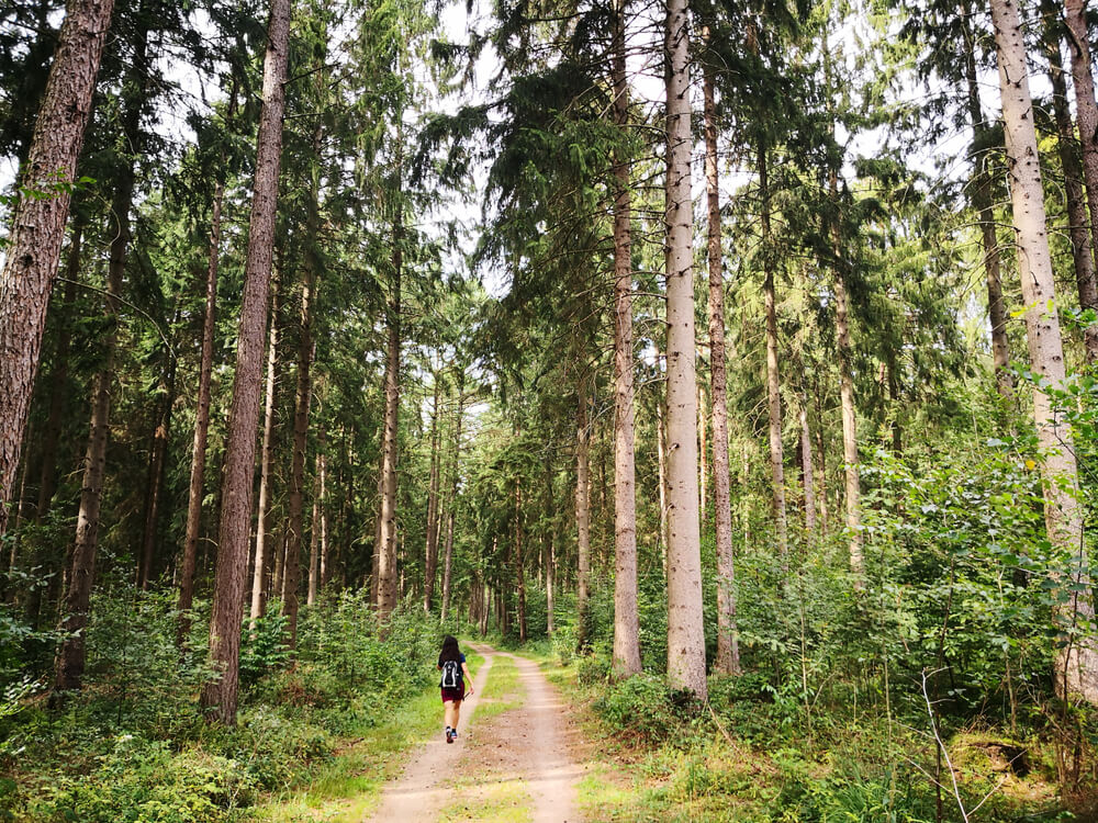 Spaziergängerin im Wald in der Umgebung von Hamburg.