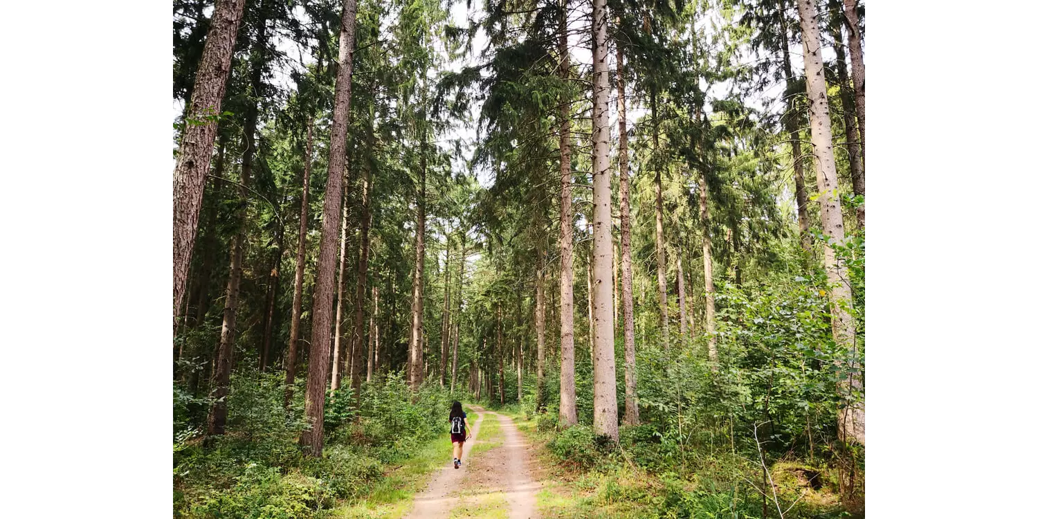 Spaziergängerin im Wald in der Umgebung von Hamburg.