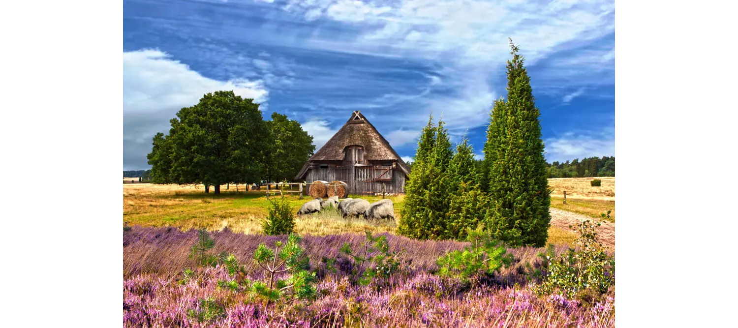 Ausflüge Hamburg: Bauernhaus in der Lüneburger Heide.