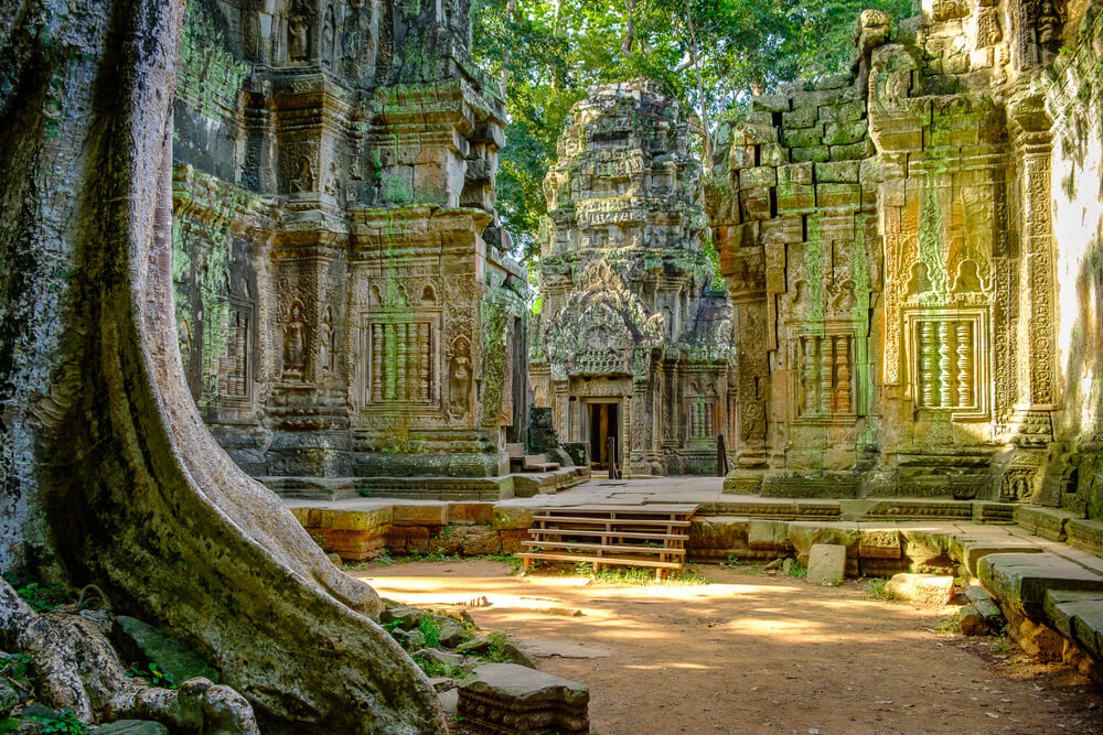 Mit der Vegetation verschmolzene Ruinen in Angkor