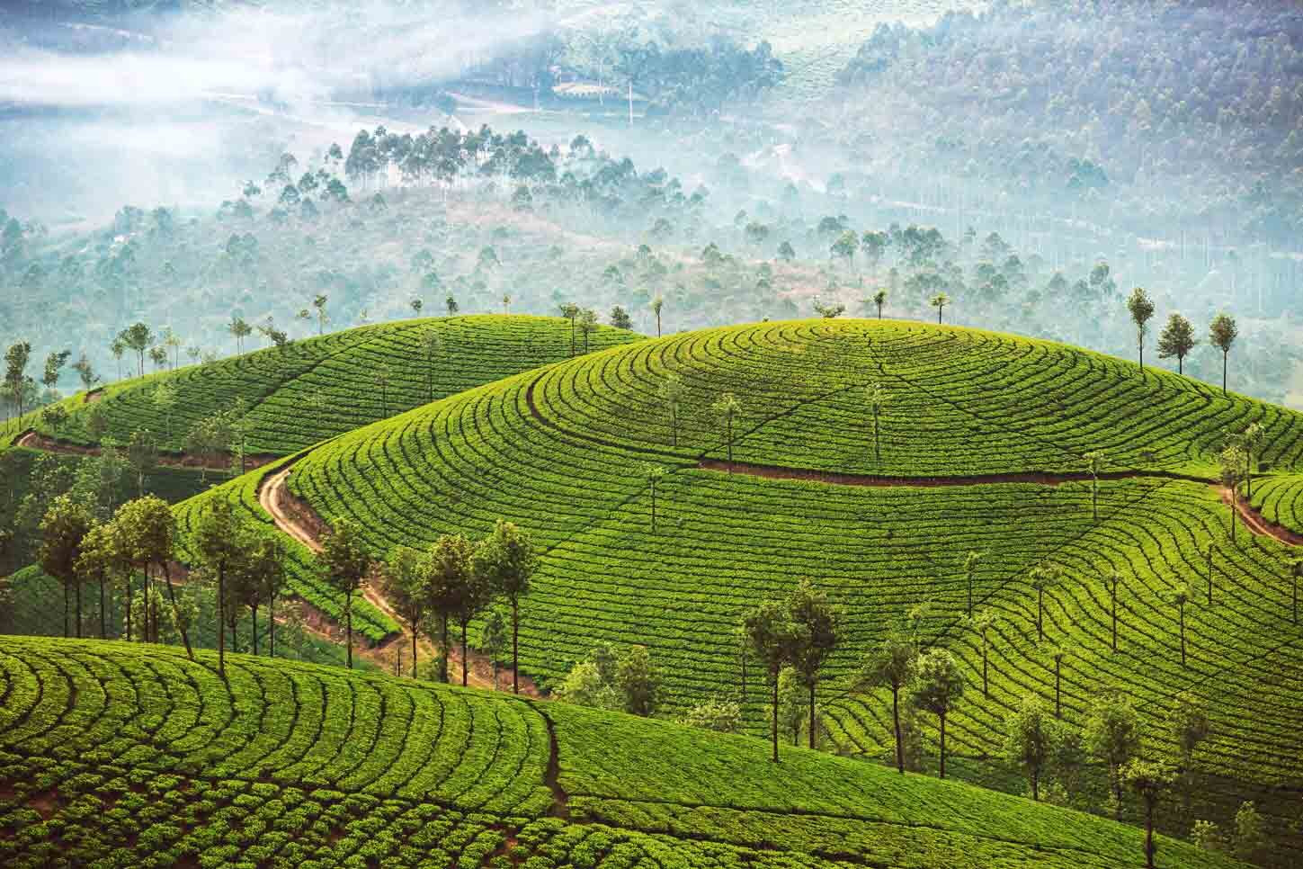 Ayurveda-Urlaub in Sri Lanka: die herrliche Landschaft unterstützt die Erholun