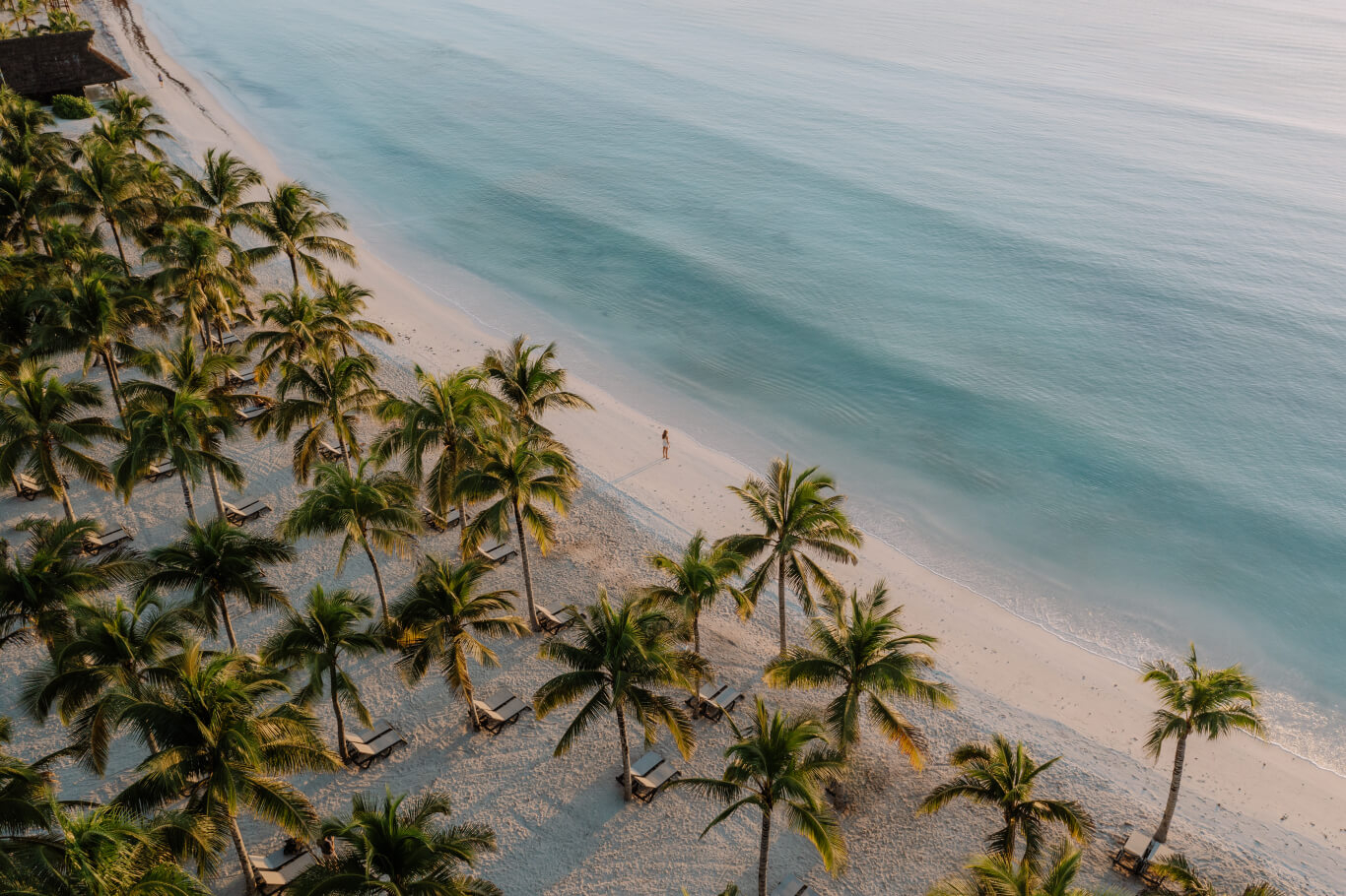 An aerial view of the palm-tree dotted private beach at Barceló Maya Grand Resort.