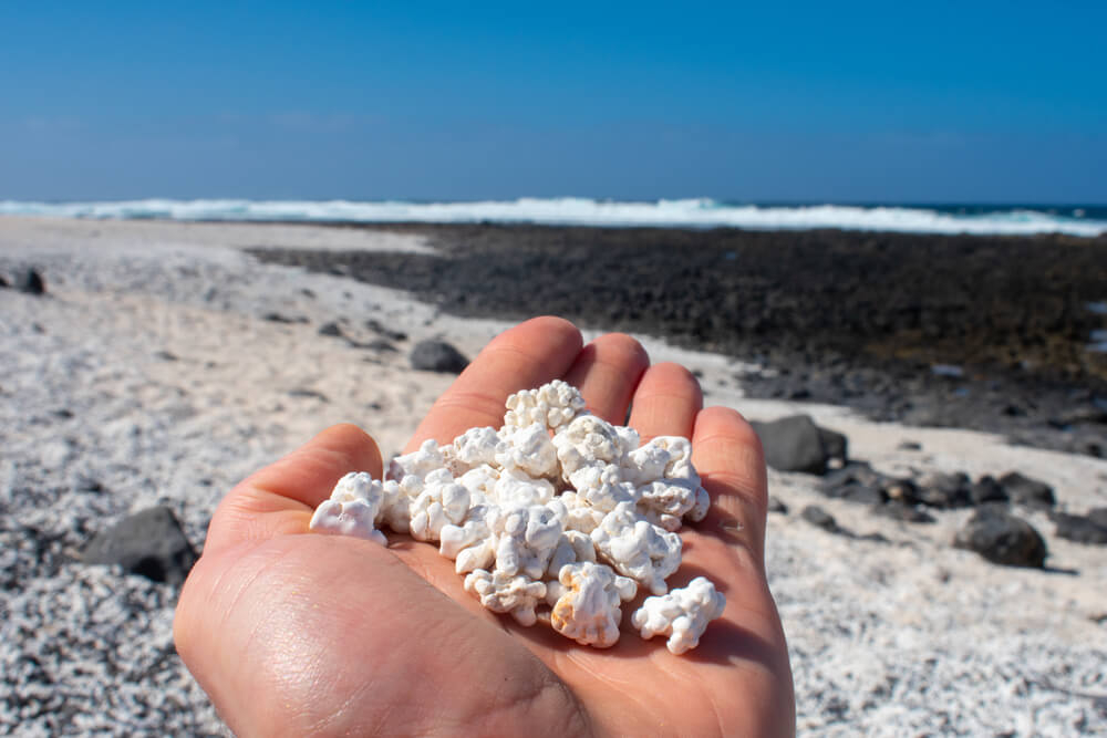 Popcorn Beach: A close-up of a hand holding the popcorn sand