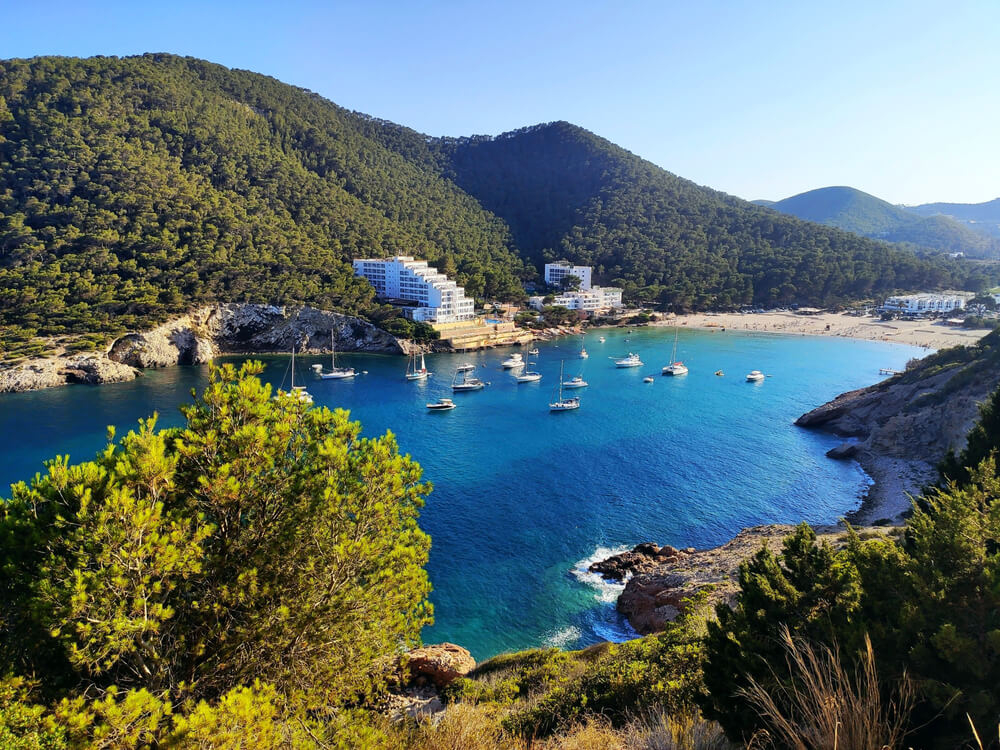 Best beaches in Ibiza: Cala Llonga seen from above surrounded by green trees 