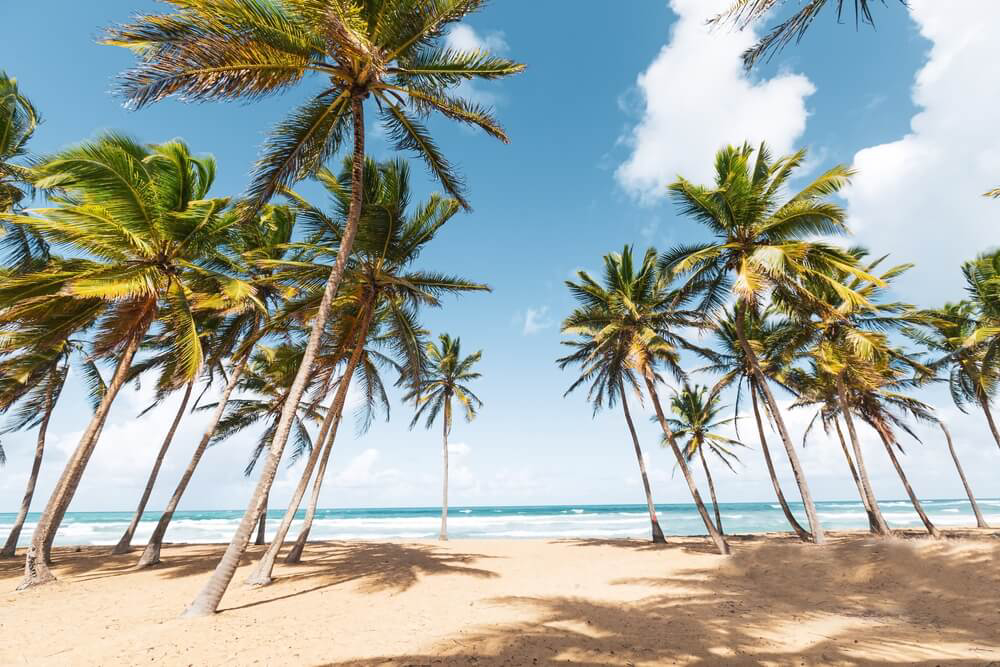 Uvero Alta is considered by many to be one of the best beaches in Punta Cana