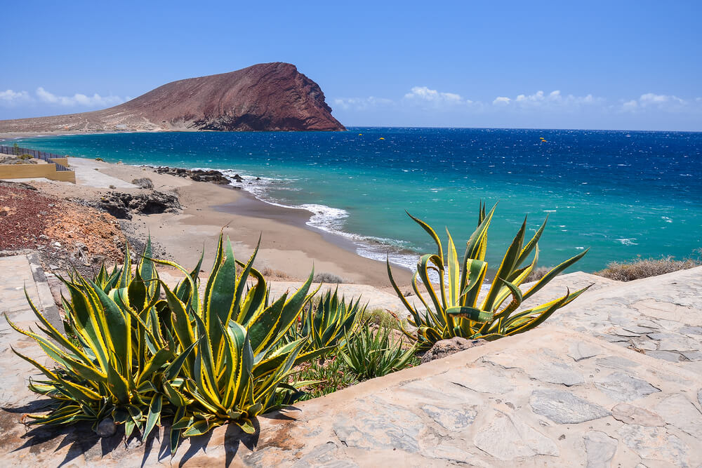Sandy beaches in Tenerife South: The beach of La Tejita seen from the boardwalk