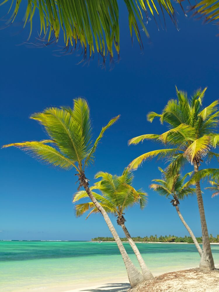Best honeymoon destinations: Bávaro Beach, Dominican Republic seen between two palm trees