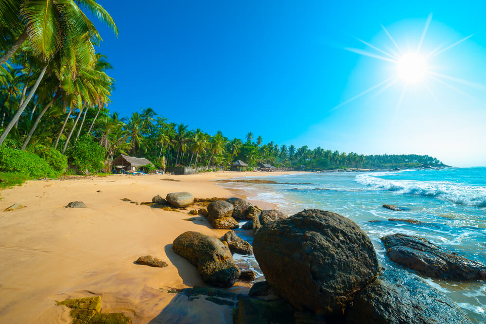 A secluded sandy cove surrounded by rocks and palm trees in Sri Lanka