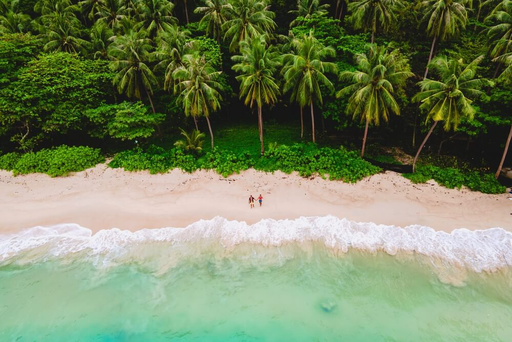Coconut Island: Palm tree lined golden sand beach and pristine shoreline