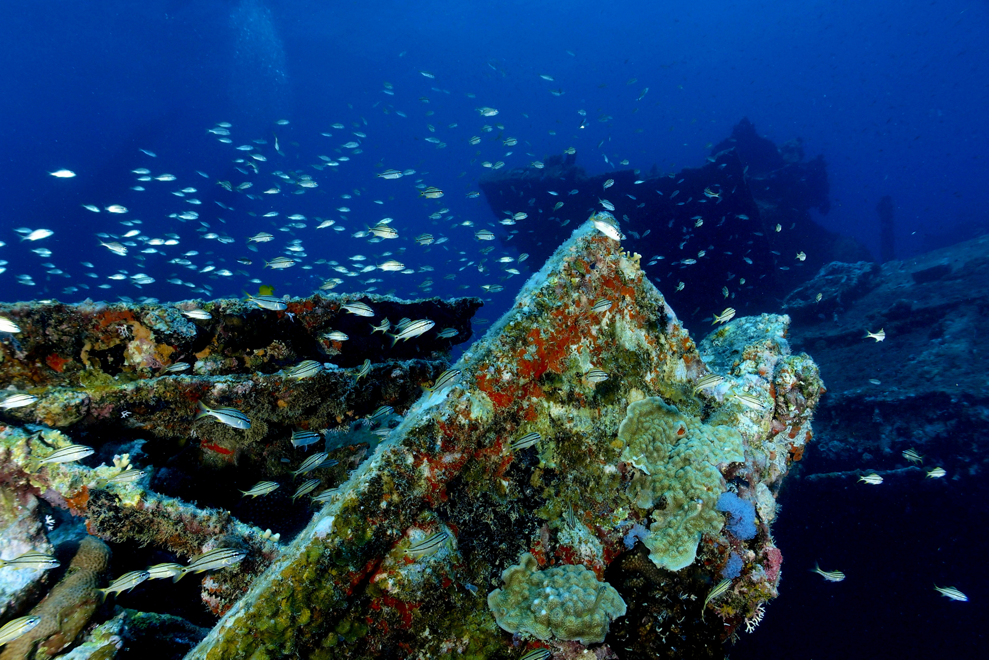 The SS Antilla shipwreck in Aruba is one of the best places to snorkel in the Caribbean