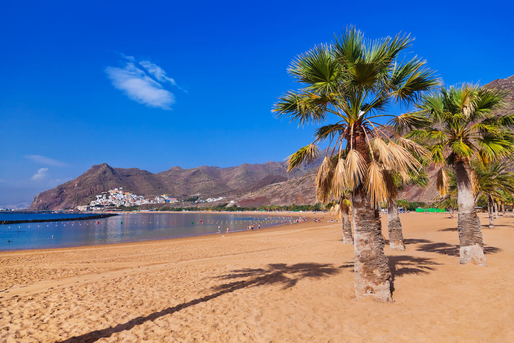 Santa Cruz de Tenerife: the golden sand, palm tree-lined beach of Las Teresitas 