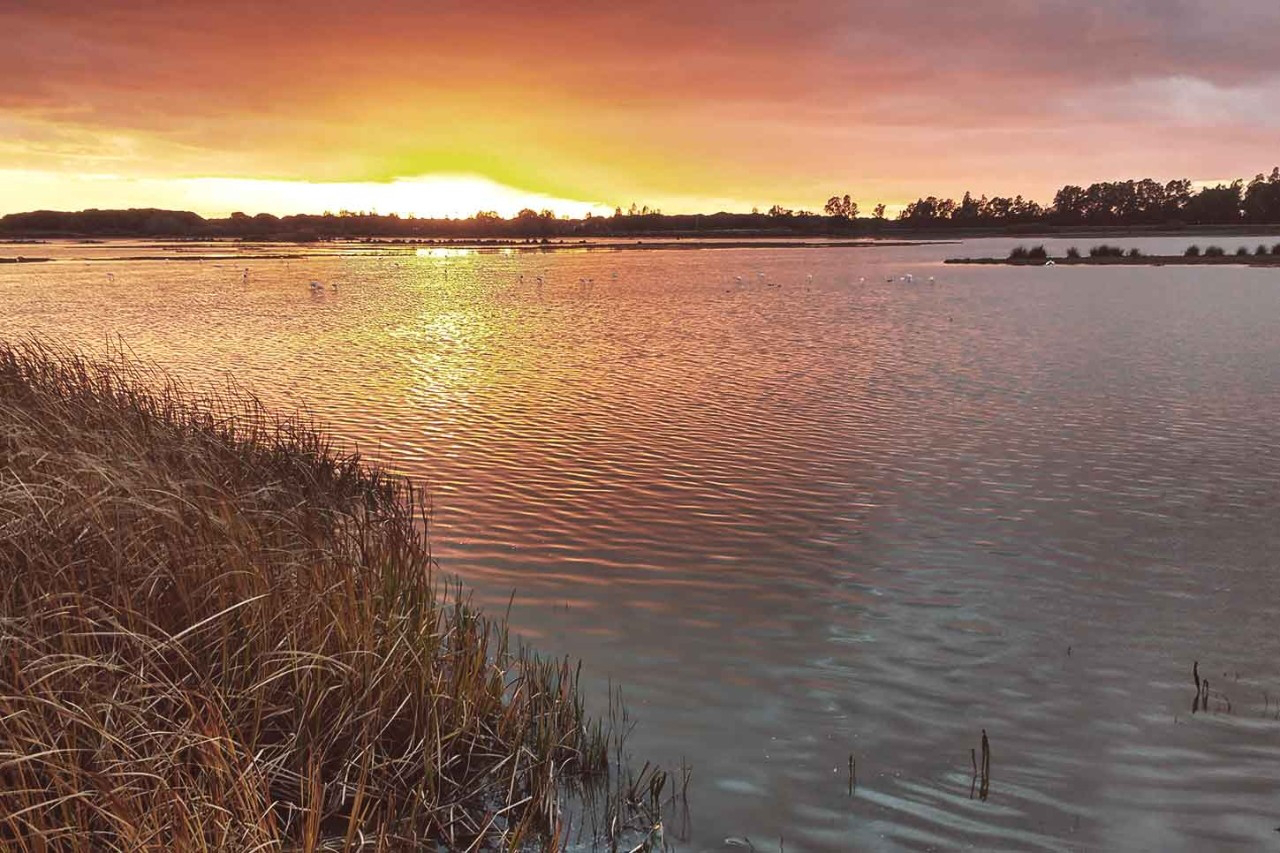 Biosphärenreservate weltweit: Doñana, Südwest-Spanien