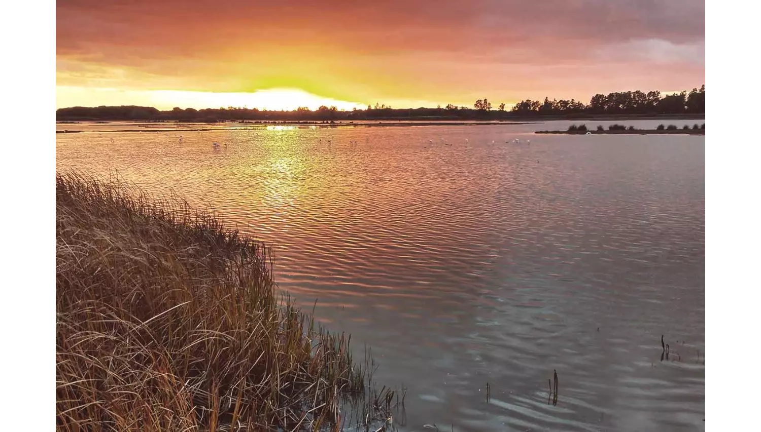 Biosphärenreservate weltweit: Doñana, Südwest-Spanien