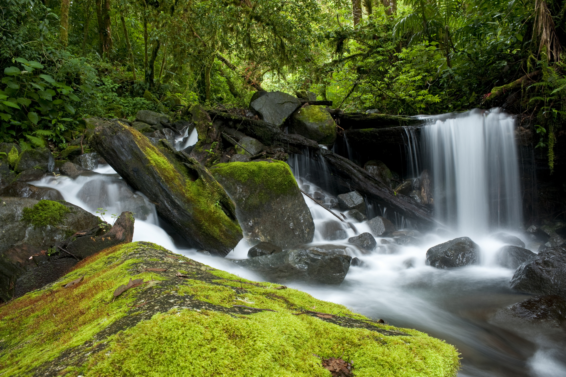 Biosphärenreservate weltweit: La Amistad, Costa Rica und Panama.