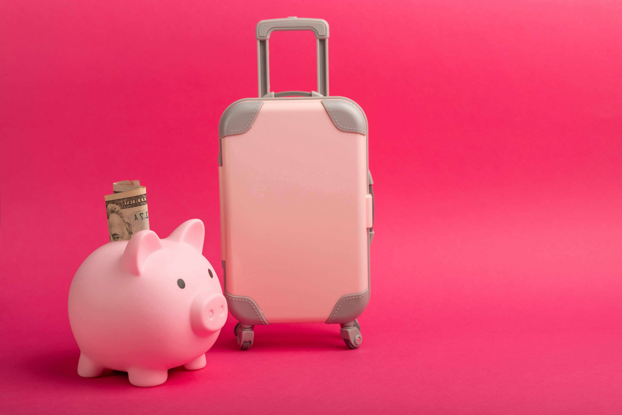Black Friday travel deals: Photo of a pig and a suitcase