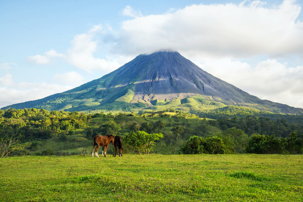 Black Friday travel deals: Arenal Volcano with green grass and horses