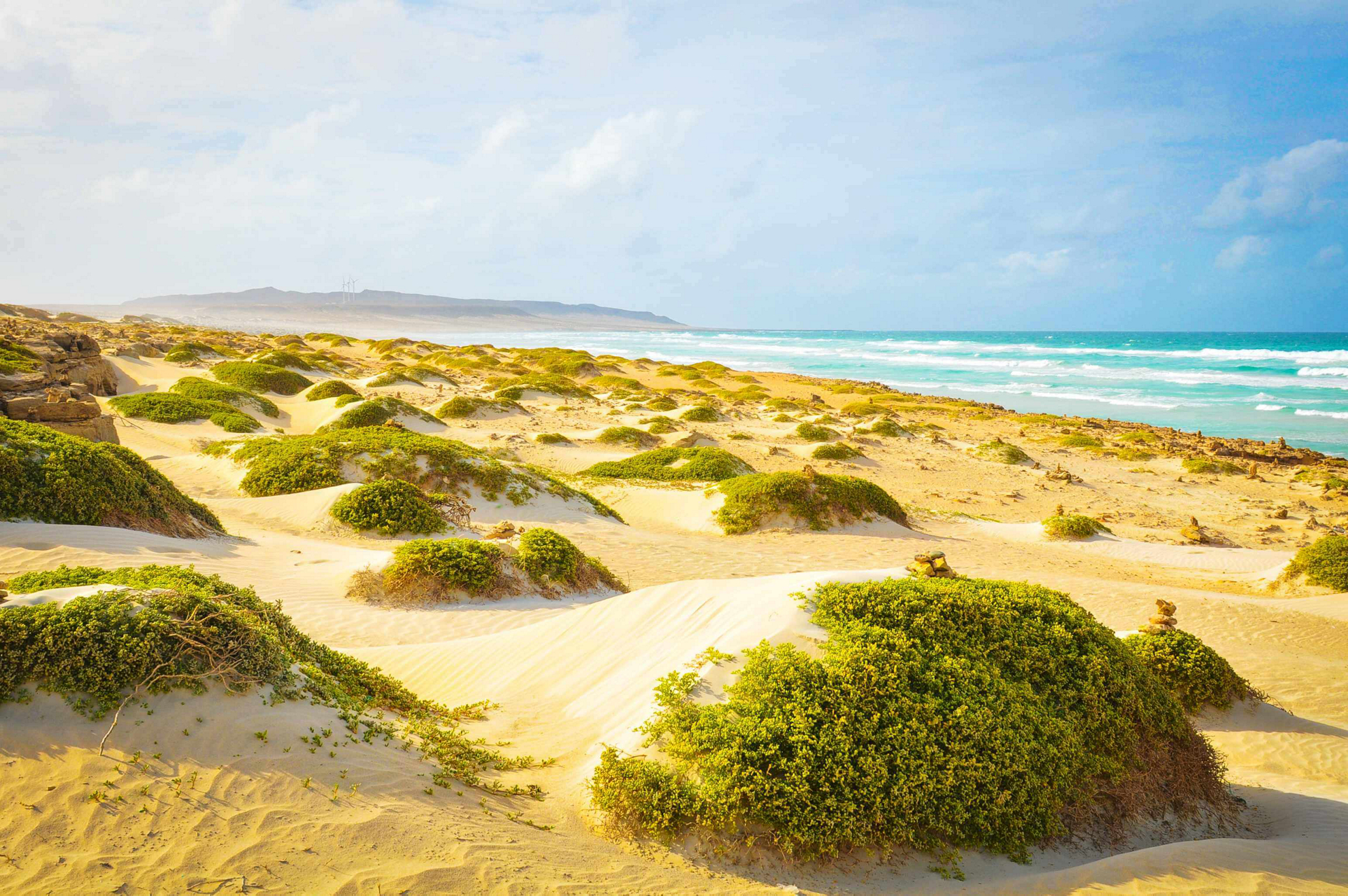 Boa Vista beaches: a windswept white sand beach with green foliage